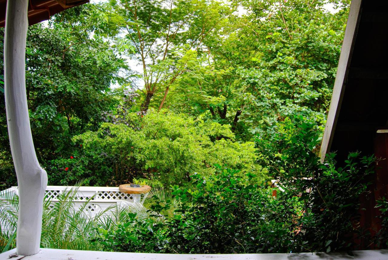 Hacienda Sarah Villa Nosara Dış mekan fotoğraf